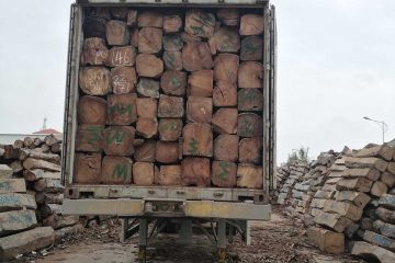 木材进口优势